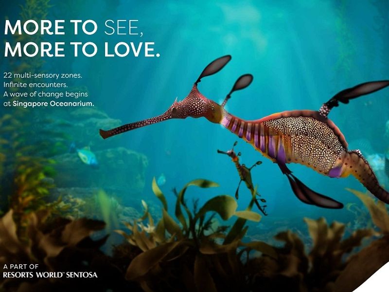 SGO_WeedySeadragon_16x9_Static_NoDateNoQR