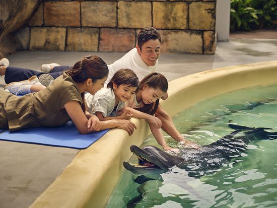 4fb2d6c7-abd9-416b-a298-e3d050562126