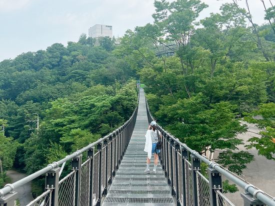 aegibong suspension bridge_summer_1