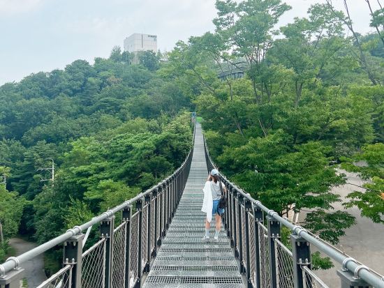 DMZ愛妓峰スタバツアー　北朝鮮に一番近いスタバへ！ 愛妓峰平和エコパーク＆恩平韓屋村　＜1名参加OK／選べる出発地／日本語または英語ガイド＞