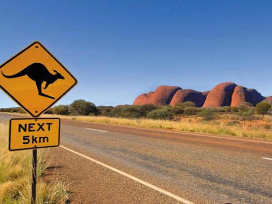 australia_northern-territory_kangaroo_road_sign_kata-tjuta
