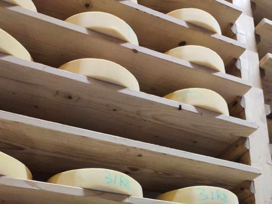 ジュラの恵みを味わい尽くす チーズとワインの一日 ＜貸切／日本語／専用車／ディジョンまたはボーヌ発＞ by H.I.S.