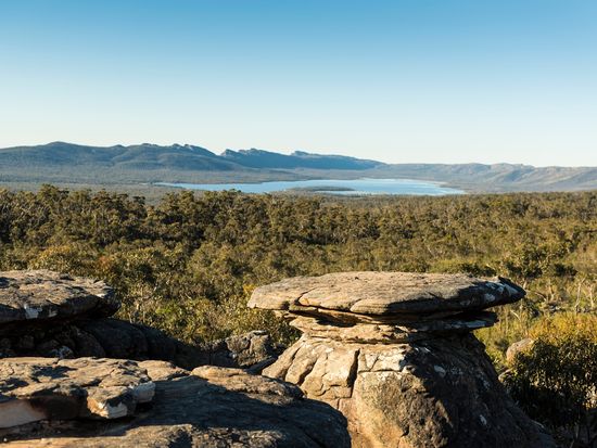 グランピアンズ国立公園ツアー 野生動物観察と滝巡りを楽しむ ＜英語ガイド／日本語ガイドアプリ／メルボルン発着＞の写真3