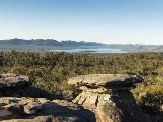 グランピアンズ国立公園ツアー 野生動物観察と滝巡りを楽しむ ＜英語ガイド／日本語ガイドアプリ／メルボルン発着＞