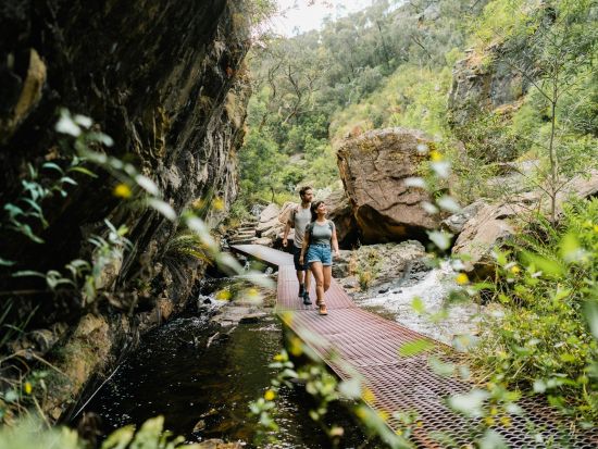 グランピアンズ国立公園ツアー 野生動物観察と滝巡りを楽しむ ＜英語ガイド／日本語ガイドアプリ／メルボルン発着＞