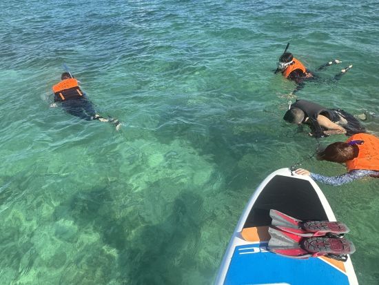 階段下りたら目の前がポイント！ウミガメシュノーケリングツアー　奄美大島でウミガメを探す冒険の旅 ＜2時間／笠利町＞  by KAZBO Surf and SUP