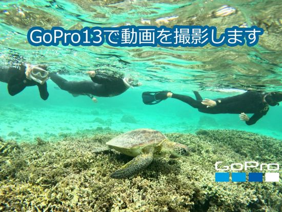 階段下りたら目の前がポイント！ウミガメシュノーケリングツアー　奄美大島でウミガメを探す冒険の旅 ＜2時間／笠利町＞  by KAZBO Surf and SUP