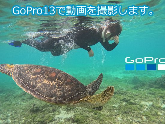 階段下りたら目の前がポイント！ウミガメシュノーケリングツアー　奄美大島でウミガメを探す冒険の旅 ＜2時間／笠利町＞  by KAZBO Surf and SUP