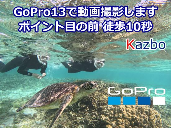 階段下りたら目の前がポイント！ウミガメシュノーケリングツアー　奄美大島でウミガメを探す冒険の旅 ＜2時間／笠利町＞  by KAZBO Surf and SUP