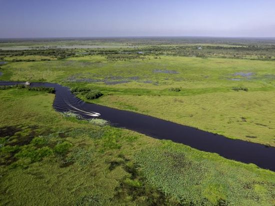 67db7b152525c_10_137635-wildlands-wetlands-safari-cruise-56