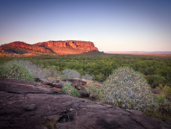 カカドゥ国立公園周遊ツアー　1泊2日エコテント泊　野生動物観察や天然プール遊泳を満喫＜4～10月／英語ガイド／ダーウィン発着＞