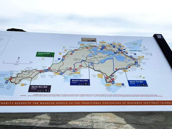 ロットネスト島＋フリーマントル観光 1泊2日ツアー＜日本人ガイド／貸切ツアー＞