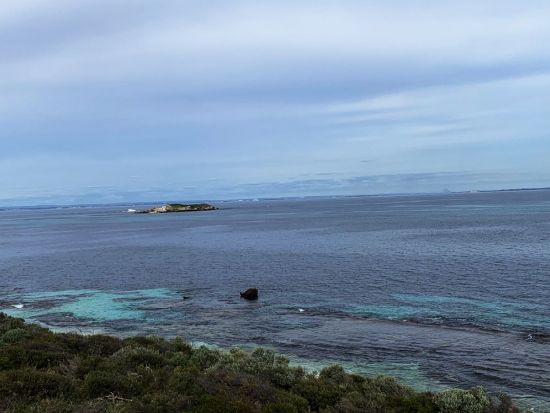ロットネスト島＋フリーマントル観光 1泊2日ツアー＜日本人ガイド／貸切ツアー＞