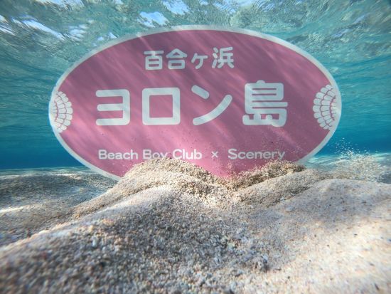 皆田海岸シュノーケリングツアー ウミガメ高遭遇率＆シュノーケルセットレンタル付き by ヨロン島ビーチボーイクラブ