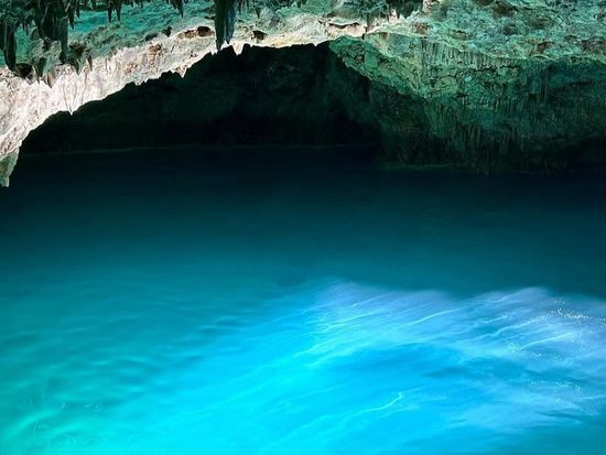 アジア最後の秘境 世界自然遺産 "コモド国立公園"・1泊2日ツアーの写真2