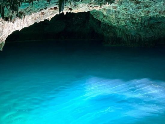 アジア最後の秘境 世界自然遺産 "コモド国立公園"・1泊2日ツアー