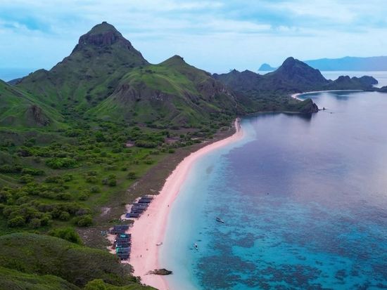 アジア最後の秘境 世界自然遺産 "コモド国立公園"・1泊2日ツアーの写真4