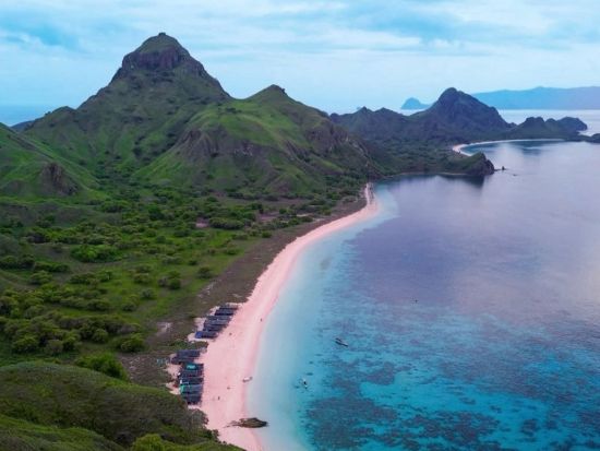アジア最後の秘境 世界自然遺産 "コモド国立公園"・1泊2日ツアー