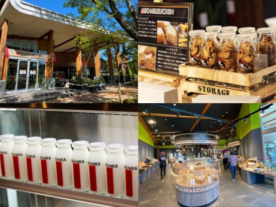 路線バスで行く！阿蘇山上＆阿蘇神社周遊ツアー　あか牛＆白豚ハンバーグ食べ比べランチ付き ＜1日／熊本駅・桜町バスターミナル・熊本空港発＞