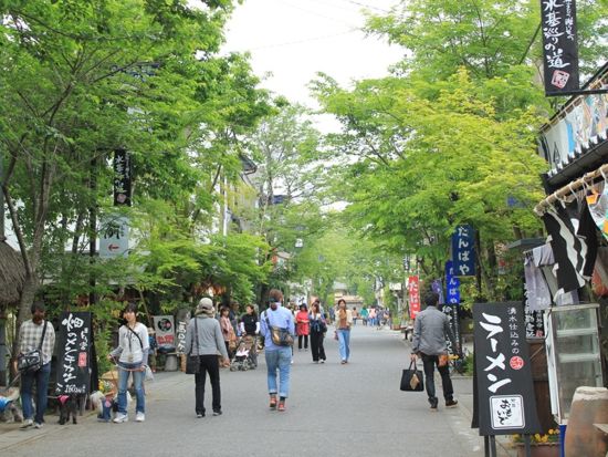 路線バスで行く！阿蘇山上＆阿蘇神社周遊ツアー　あか牛＆白豚ハンバーグ食べ比べランチ付き ＜1日／熊本駅・桜町バスターミナル・熊本空港発＞