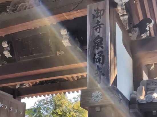 【京都総本山 泉涌寺禅ヨガ】特別参拝とヨガ ――通常立ち入れない空間へ＜僧侶ご案内付き＞（5/23限定）by YOGAクリエイトジャパンの写真3