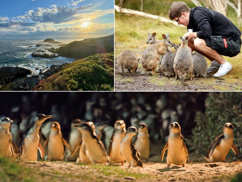 スクリーンショット 2026-04-24 152949