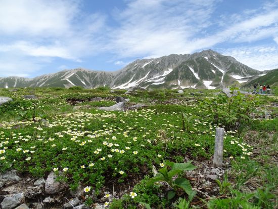 立山室堂にてたっぷり5時間日帰りバスツアー ＜金沢発着＞