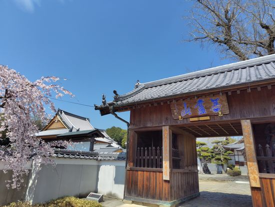 地蔵寺202604