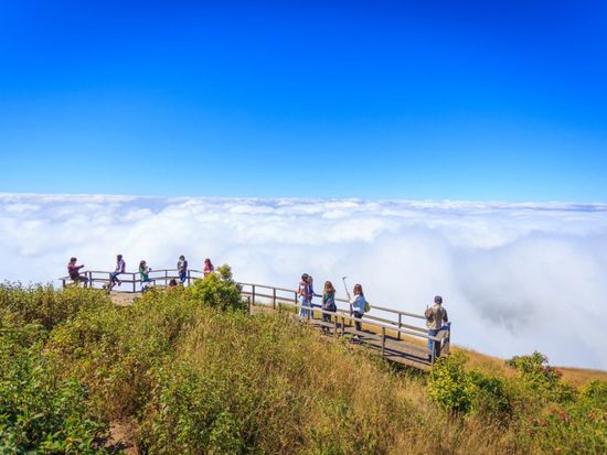 タイ最高峰ドイ・インタノン　ハイキング1日ツアー ＜昼食付き／英語ガイド＞の写真3