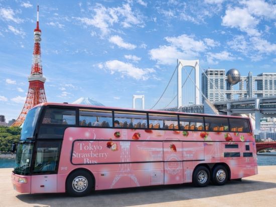 Tokyo Strawberry Bus体験 オープントップバスで東京観光＆希少いちご堪能 贅沢ストロベリークルーズ＜東京駅発＞