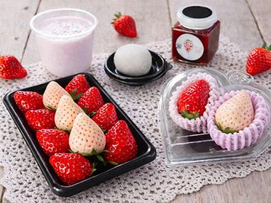 Tokyo Strawberry Bus体験 オープントップバスで東京観光＆希少いちご堪能 贅沢ストロベリークルーズ＜東京駅発＞