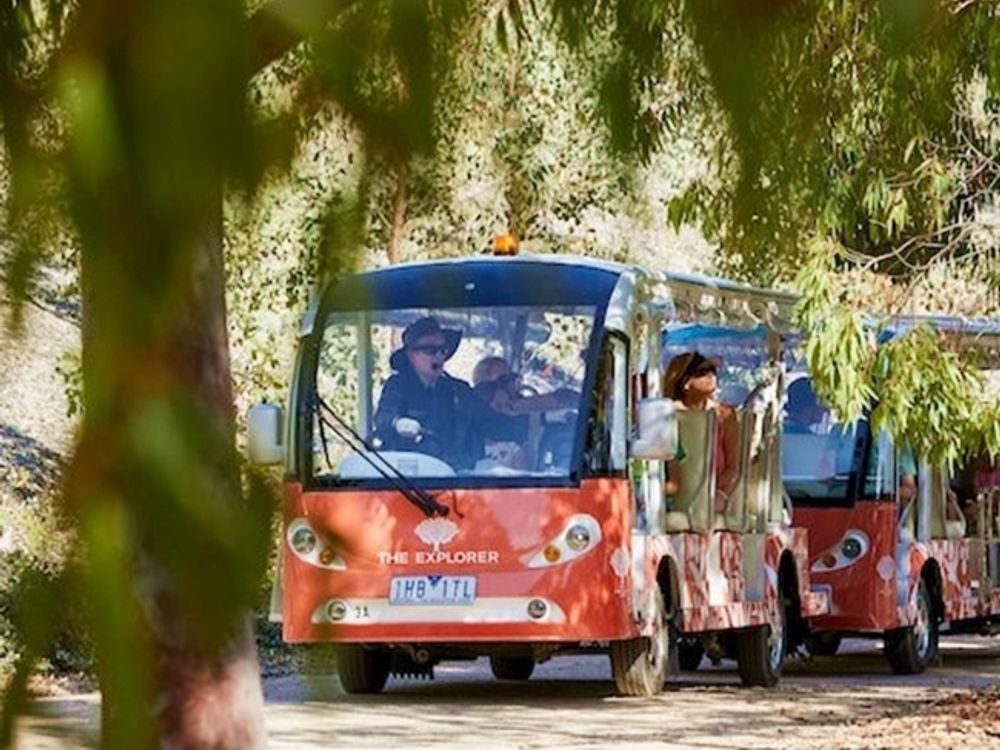 4ec98326-549e-488b-b671-15fe3fdb3ba7_15f695fa19db4ef697c53e3507660b22