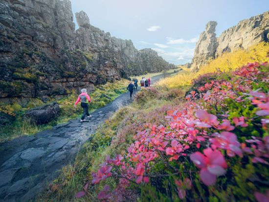CCThingvellir