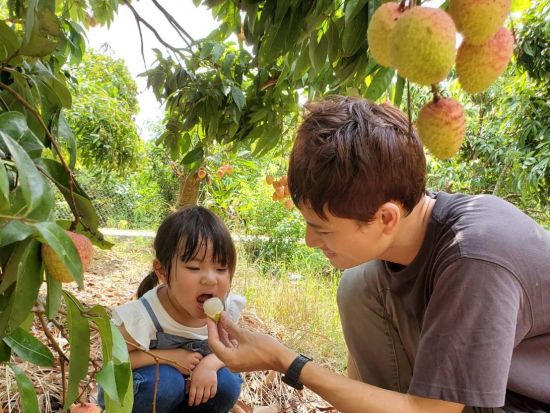 【5・6月限定】 もぎたてライチ狩り体験ツアー　ハノイ近郊で旬の味覚を満喫！＜日本語ガイド＞