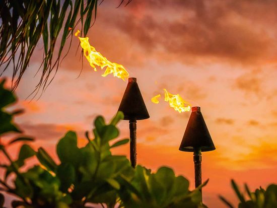 shutterstock_1477854236