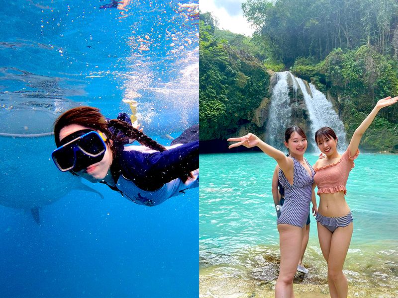 whaleshark-kawasan