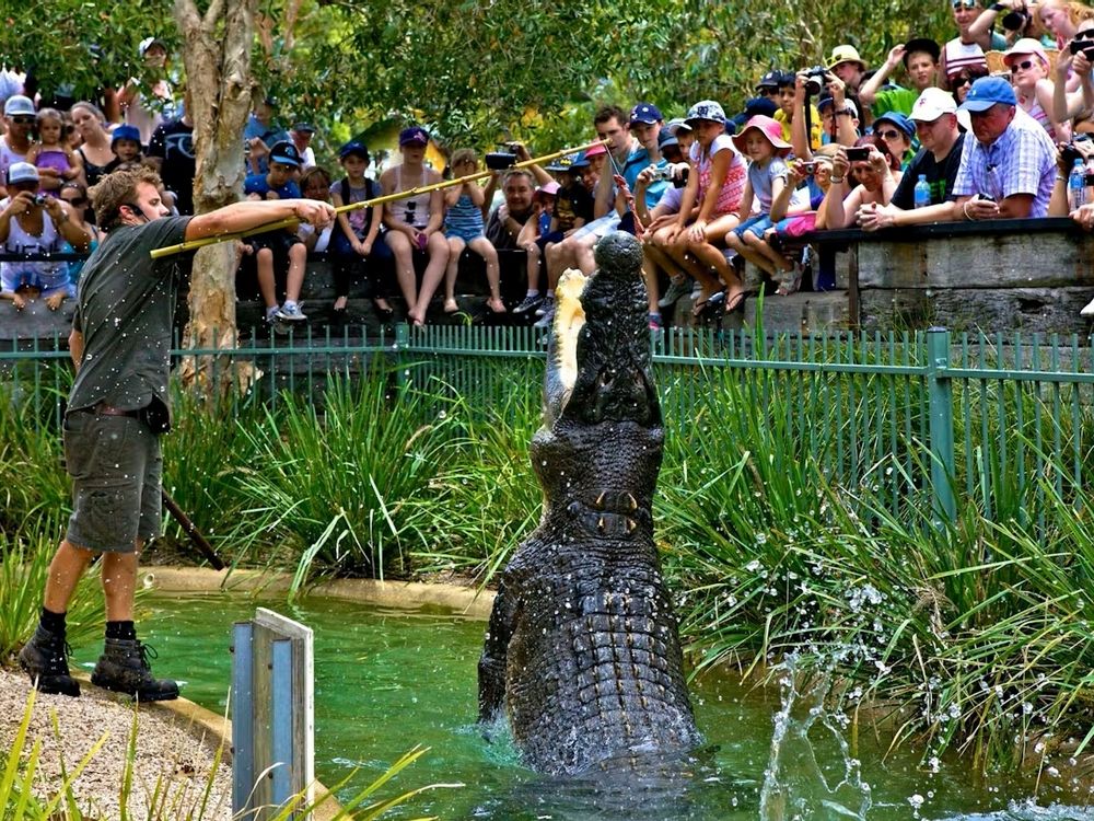 Australian Reptile Park