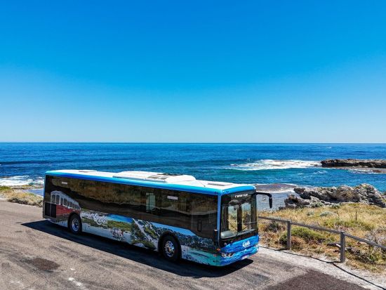 ロットネスト島「世界一幸せな動物」クオッカに出逢える自由散策＜1日バスチケット付き／パース市内送迎付き／ヒラリーズ発着＞