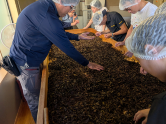 茶の湯の都・松江の神髄に触れる。老舗の和菓子作りと絶景の有機茶園“松江宝箱”で楽しむ番茶体験ツアー