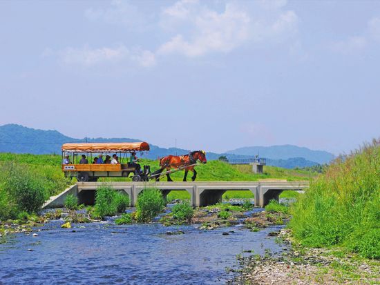  京馬車で巡る嵐山とトロッコ列車と保津川下りを一日で満喫！嵐山散策日帰りツアーの写真4