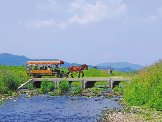  京馬車で巡る嵐山とトロッコ列車と保津川下りを一日で満喫！嵐山散策日帰りツアー