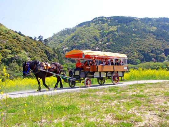  京馬車で巡る嵐山とトロッコ列車と保津川下りを一日で満喫！嵐山散策日帰りツアー