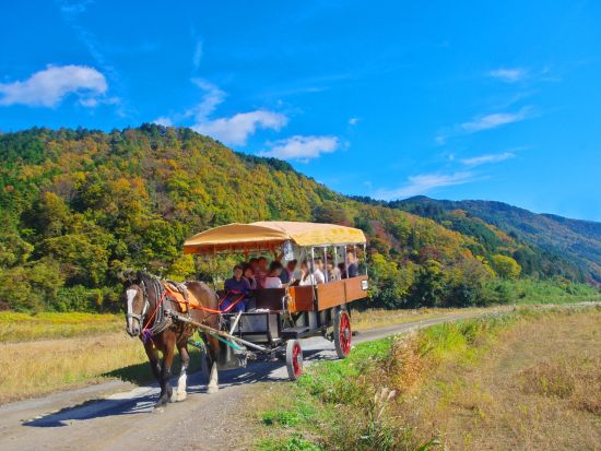  京馬車で巡る嵐山とトロッコ列車と保津川下りを一日で満喫！嵐山散策日帰りツアー