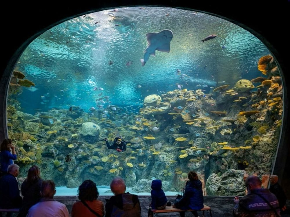 Seattle Aquarium
