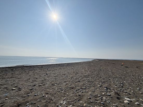 【ベルトラ限定】1日プライベートネイチャーガイドツアー　ベテランガイド1日貸切！野付半島/ 幻の都キラク・トレッキングツアー＜4～6月、10月中標津市内発着＞の写真1