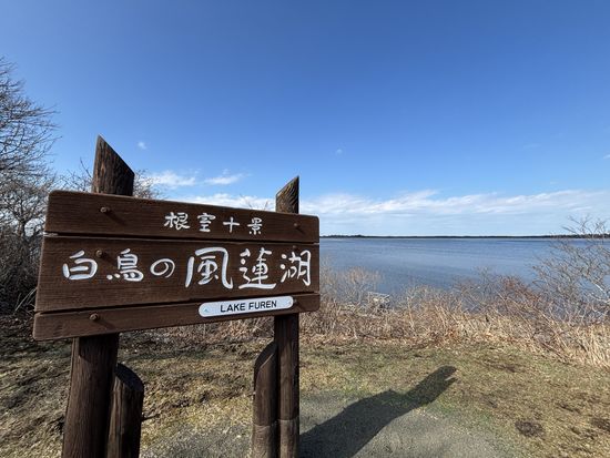 【ベルトラ限定】1日プライベートネイチャーガイドツアー　ベテランガイド1日貸切！野付半島/ 幻の都キラク・トレッキングツアー＜4～6月、10月中標津市内発着＞の写真5