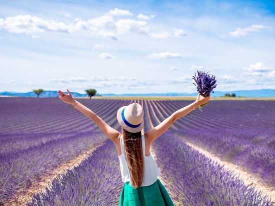 ophorus-348216-lavender-tour-shared-half-day-trip-from-aix-en-provence_large