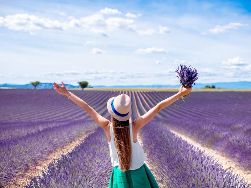 ophorus-348216-lavender-tour-shared-half-day-trip-from-aix-en-provence_large