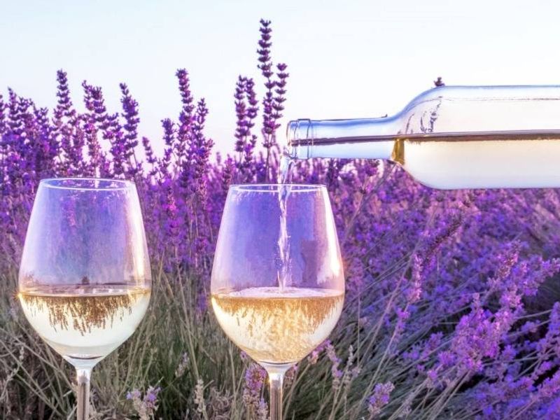 ophorus-986570-provence-wine-tour-shared-half-day-trip-from-aix-en-provence_large
