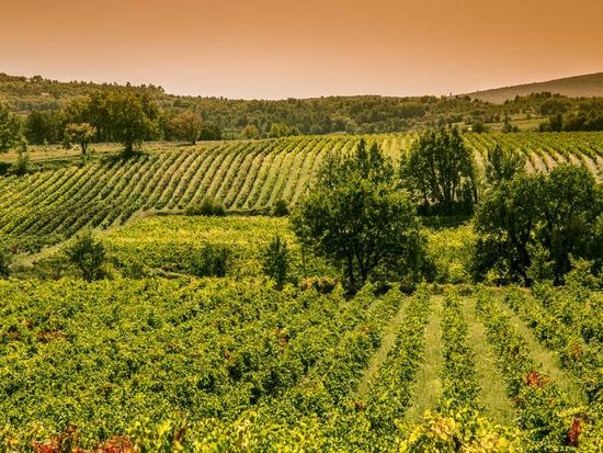 ophorus-602851-provence-wine-tour-shared-half-day-trip-from-aix-en-provence_large